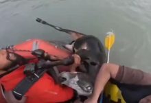 rishikesh-ganga-rafting-youth-save-cow-viral-video