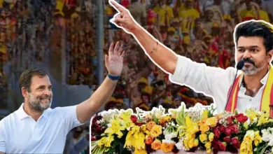 tamil-nadu-election-result-2026-congress-supports-vijay-party-tvk