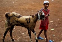Eid-al-Adha 2026 Date Bakrid 2026 Date bakraeid
