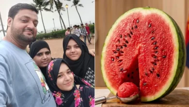 watermelon-case-forensic-tests-reveal-green-coloured-organs
