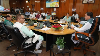 dhami cabinet