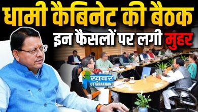 dhami cabinet news