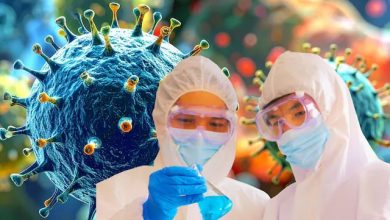 कोविड की तरह धीरे-धीरे पैर पसार रहा Hantavirus!, WHO ने बताया क्यों खतरनाक है नई स्ट्रेन? how-much-dangerous-is-hantavirus-new-strain-than-covid-19