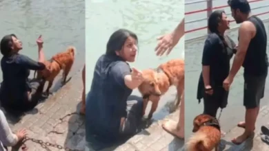 bathing-pet-dog-at-haridwar-ganga-ghat VIDEO VIRAL
