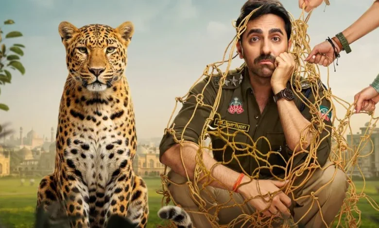 Pati Patni Aur Woh Do OTT Release: ओटीटी पर इस दिन रिलीज होगी आयुष्मान खुराना की 'पति पत्नी और वो दो' pati-patni-aur-woh-do-ott-release-date