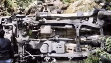 Nainital Road Accident: खाई में गिरी राजस्थान के पर्यटकों की कार, एक की मौत, दो घायल nainital car accident