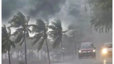 weather news imd-alert-rain-storms