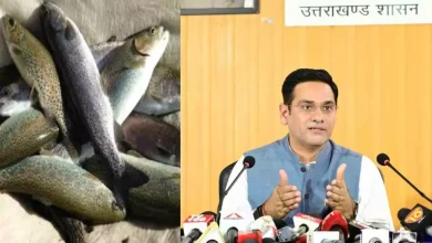 uttarakhand-exports-rainbow-trout-fish