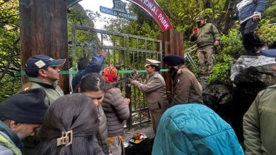 इंतजार खत्म! पर्यटकों के दीदार के लिए खुली विश्व प्रसिद्ध फूलों की घाटी famous-valley-of-flowers-opens-for-tourists-in-2026