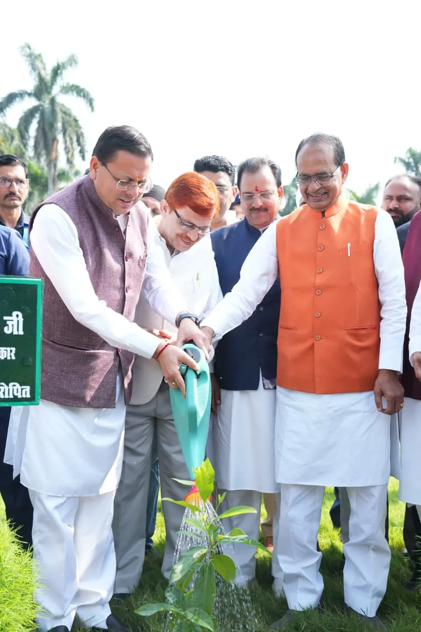 Cm dhami