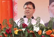 Cm dhami