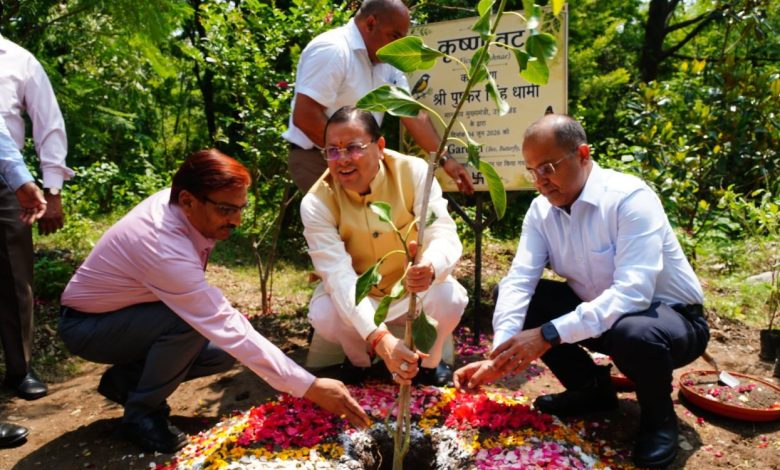 CM ने किया 3-बी गार्डन का शुभारंभ