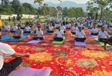 योग और जनसहभागिता का संगम बना सिटी फॉरेस्ट पार्क, एक हजार से अधिक लोगों ने किया सामूहिक योग NEWS UPDATE