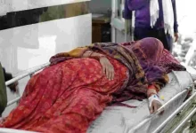 pregnant-woman-dies-labour-pain-karanprayag-chamoli-news
