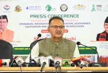 उत्तराखंड बनेगा दालचीनी उत्पादन का हब, देहरादून में जुटेंगे दुनिया भर के विशेषज्ञ Ganesh joshi