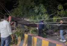 मौसम का कहर: हल्द्वानी में तेज आंधी से हाईवे पर गिरा पेड़, यातायात बाधित tree-falls-on-highway-due-to-strong-storm-in-haldwani
