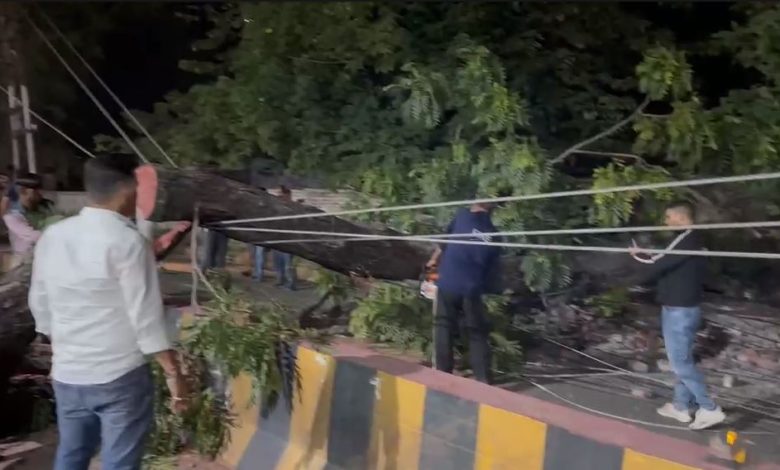 मौसम का कहर: हल्द्वानी में तेज आंधी से हाईवे पर गिरा पेड़, यातायात बाधित tree-falls-on-highway-due-to-strong-storm-in-haldwani