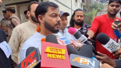 cm dhami assembly seat