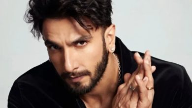 ranveer-singh-don-3-controversy