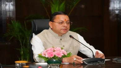 cm dhami