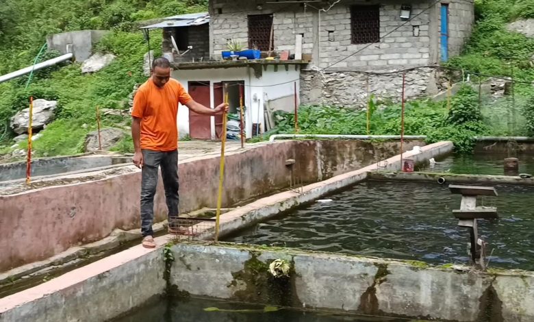rudraprayag-trout-farming-dinesh-singh-choudhary-pm-matsya-sampada-yojana