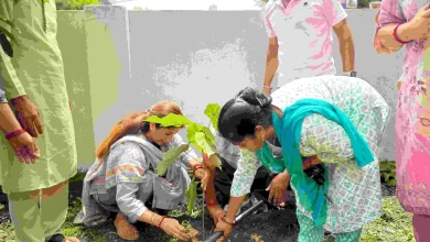 dipti-rawat-bhardwaj-plants-saplings-on-harela-in-doiwala